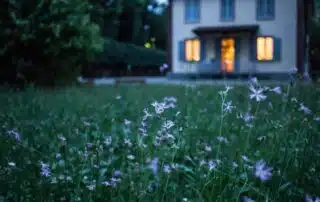 Blommig äng framför hus med tända fönster.